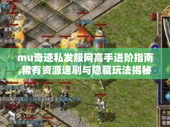 mu奇迹私发服网高手进阶指南,稀有资源速刷与隐藏玩法揭秘 mu奇迹私发服网高手进阶指南,稀有资源速刷与隐藏玩法揭秘