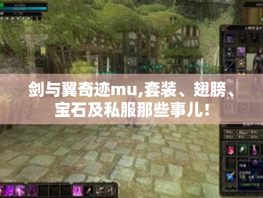 剑与翼奇迹mu,套装、翅膀、宝石及私服那些事儿！