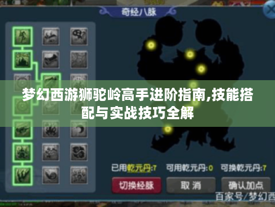 梦幻西游狮驼岭高手进阶指南,技能搭配与实战技巧全解 梦幻西游狮驼岭高手进阶指南,技能搭配与实战技巧全解