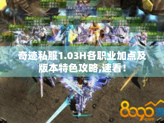 奇迹私服1.03H各职业加点及版本特色攻略,速看！