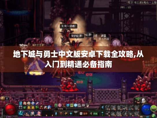 地下城与勇士中文版安卓下载全攻略,从入门到精通必备指南 地下城与勇士中文版安卓下载全攻略,从入门到精通必备指南