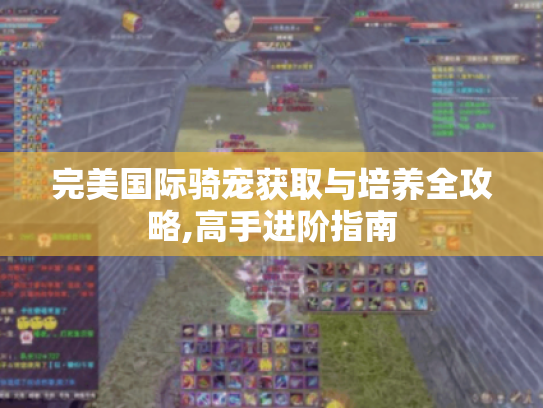 完美国际骑宠获取与培养全攻略,高手进阶指南 完美国际骑宠获取与培养全攻略,高手进阶指南