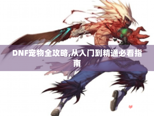 DNF宠物全攻略,从入门到精通必看指南 DNF宠物全攻略,从入门到精通必看指南