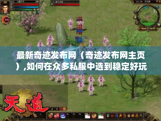 最新奇迹发布网(奇迹发布网主页),如何在众多私服中选到稳定好玩的? 最新奇迹发布网(奇迹发布网主页),如何在众多私服中选到稳定好玩的?