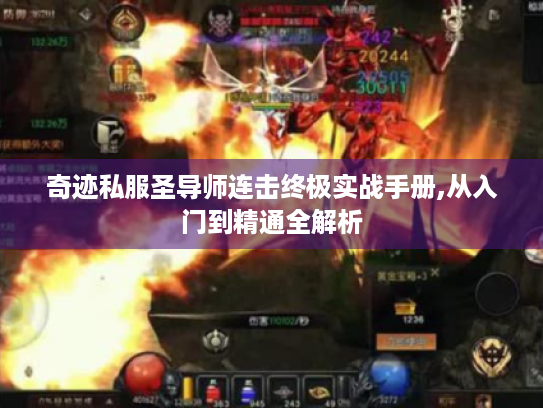 奇迹私服圣导师连击终极实战手册,从入门到精通全解析 奇迹私服圣导师连击终极实战手册,从入门到精通全解析