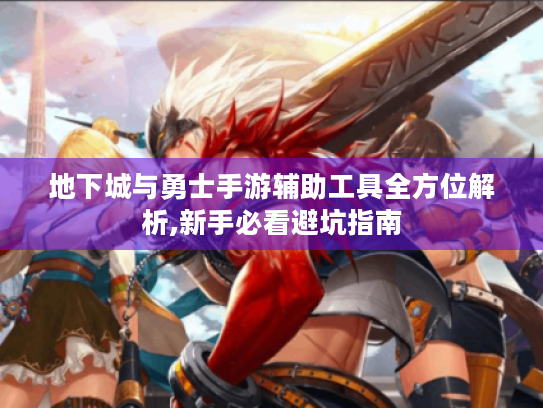 地下城与勇士手游辅助工具全方位解析,新手必看避坑指南 地下城与勇士手游辅助工具全方位解析,新手必看避坑指南