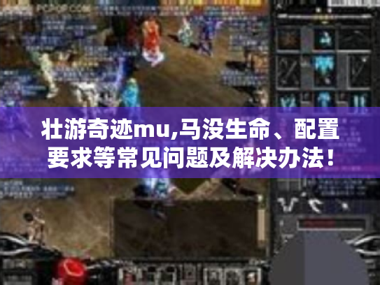 壮游奇迹mu,马没生命、配置要求等常见问题及解决办法! 壮游奇迹mu,马没生命、配置要求等常见问题及解决办法!