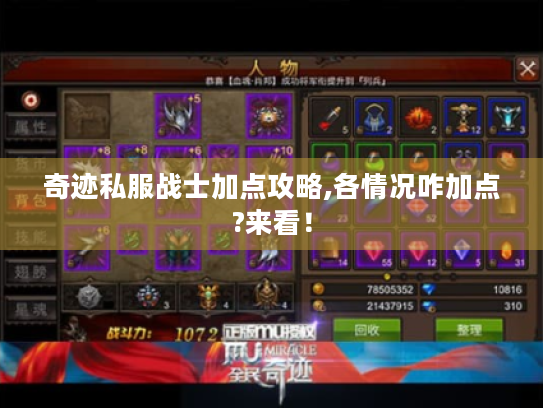 奇迹私服战士加点攻略,各情况咋加点?来看! 奇迹私服战士加点攻略,各情况咋加点?来看!