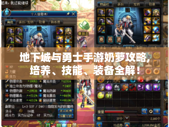 地下城与勇士手游奶萝攻略,培养、技能、装备全解！