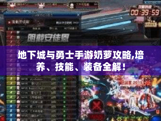 地下城与勇士手游奶萝攻略,培养、技能、装备全解！