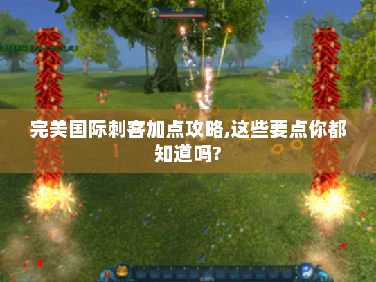完美国际刺客加点攻略,这些要点你都知道吗? 完美国际刺客加点攻略,这些要点你都知道吗?