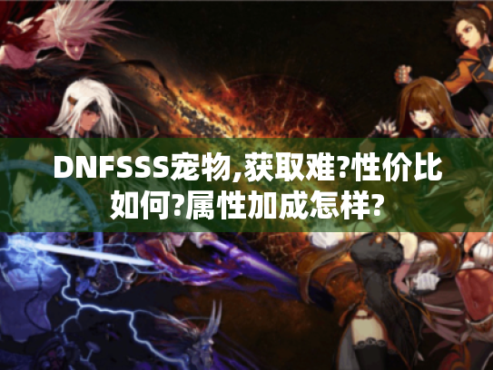 DNFSSS宠物,获取难?性价比如何?属性加成怎样? DNFSSS宠物,获取难?性价比如何?属性加成怎样?