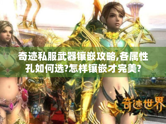 奇迹私服武器镶嵌攻略,各属性孔如何选?怎样镶嵌才完美? 奇迹私服武器镶嵌攻略,各属性孔如何选?怎样镶嵌才完美?