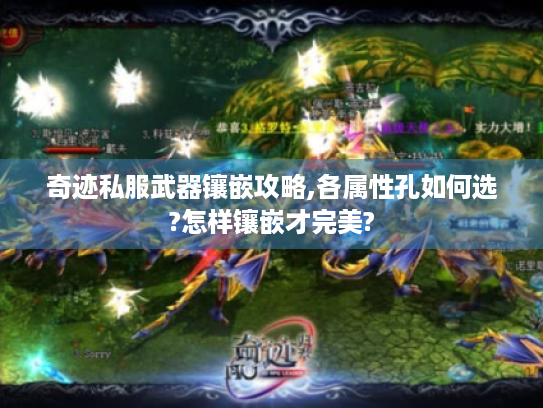 奇迹私服武器镶嵌攻略,各属性孔如何选?怎样镶嵌才完美? 奇迹私服武器镶嵌攻略,各属性孔如何选?怎样镶嵌才完美?