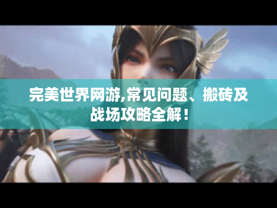 完美世界网游,常见问题、搬砖及战场攻略全解! 完美世界网游,常见问题、搬砖及战场攻略全解!