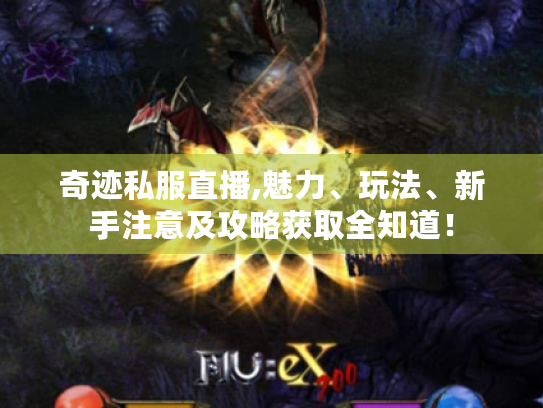 奇迹私服直播,魅力、玩法、新手注意及攻略获取全知道! 奇迹私服直播,魅力、玩法、新手注意及攻略获取全知道!