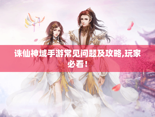诛仙神域手游常见问题及攻略,玩家必看! 诛仙神域手游常见问题及攻略,玩家必看!