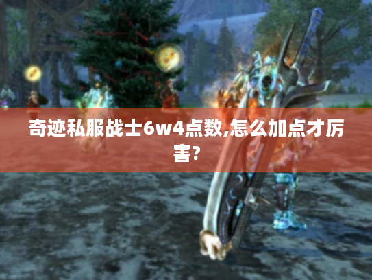 奇迹私服战士6w4点数,怎么加点才厉害? 奇迹私服战士6w4点数,怎么加点才厉害?