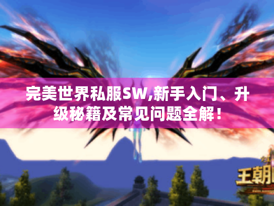 完美世界私服SW,新手入门、升级秘籍及常见问题全解！