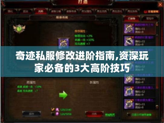 奇迹私服修改进阶指南,资深玩家必备的3大高阶技巧