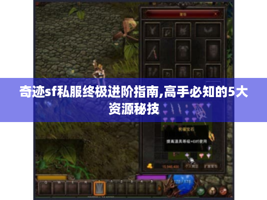 奇迹sf私服终极进阶指南,高手必知的5大资源秘技 奇迹sf私服终极进阶指南,高手必知的5大资源秘技