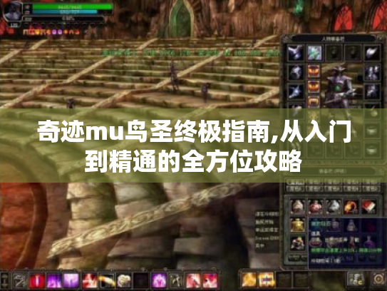 奇迹mu鸟圣终极指南,从入门到精通的全方位攻略 奇迹mu鸟圣终极指南,从入门到精通的全方位攻略