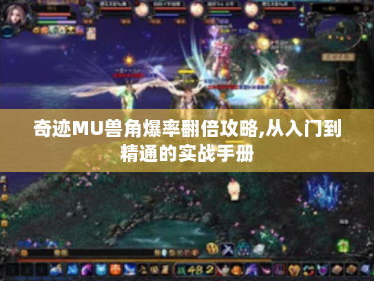 奇迹MU兽角爆率翻倍攻略,从入门到精通的实战手册