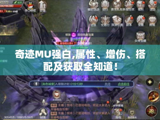 奇迹MU强白,属性、增伤、搭配及获取全知道! 奇迹MU强白,属性、增伤、搭配及获取全知道!