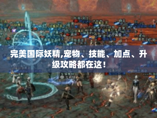 完美国际妖精,宠物、技能、加点、升级攻略都在这! 完美国际妖精,宠物、技能、加点、升级攻略都在这!