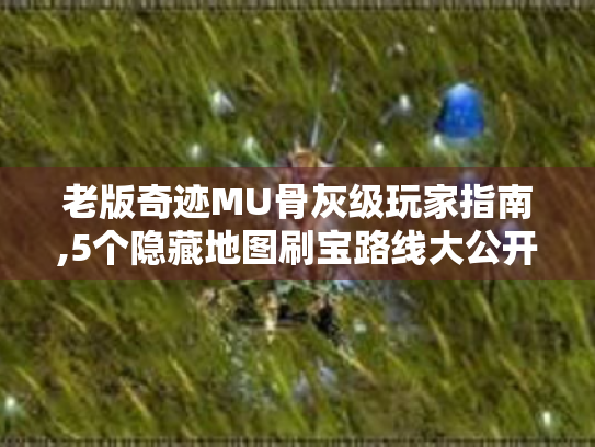 老版奇迹MU骨灰级玩家指南,5个隐藏地图刷宝路线大公开 老版奇迹MU骨灰级玩家指南,5个隐藏地图刷宝路线大公开