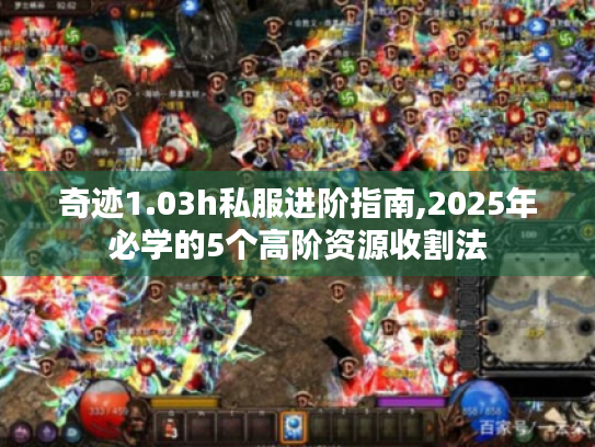 奇迹1.03h私服进阶指南,2025年必学的5个高阶资源收割法 奇迹1.03h私服进阶指南,2025年必学的5个高阶资源收割法