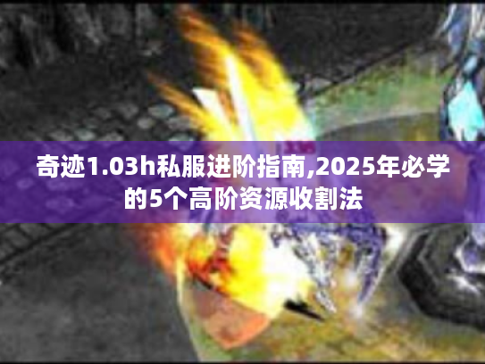 奇迹1.03h私服进阶指南,2025年必学的5个高阶资源收割法 奇迹1.03h私服进阶指南,2025年必学的5个高阶资源收割法
