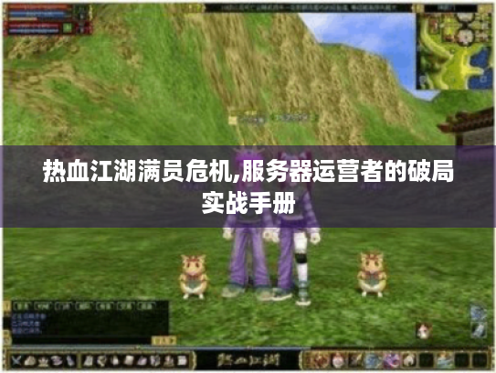 热血江湖满员危机,服务器运营者的破局实战手册