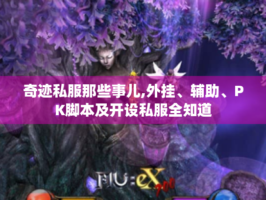奇迹私服那些事儿,外挂、辅助、PK脚本及开设私服全知道 奇迹私服那些事儿,外挂、辅助、PK脚本及开设私服全知道