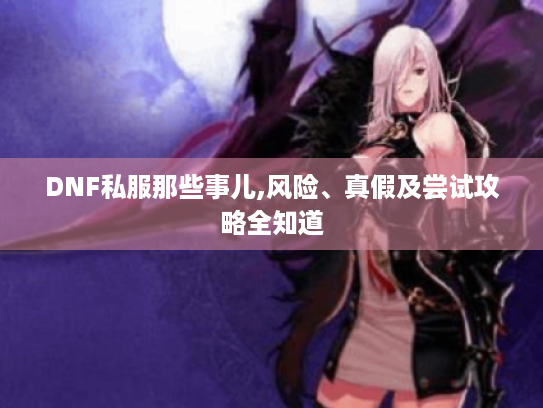 DNF私服那些事儿,风险、真假及尝试攻略全知道 DNF私服那些事儿,风险、真假及尝试攻略全知道