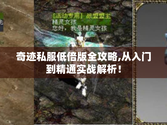 奇迹私服低倍版全攻略,从入门到精通实战解析! 奇迹私服低倍版全攻略,从入门到精通实战解析!