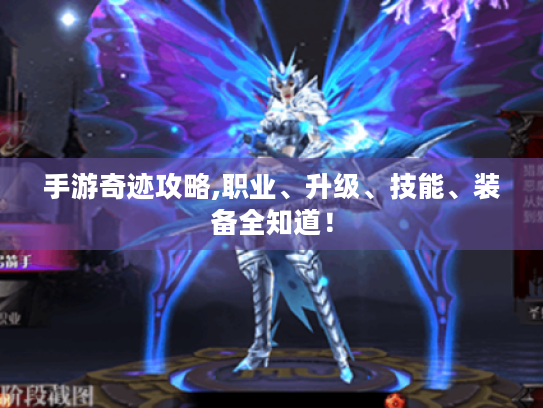 手游奇迹攻略,职业、升级、技能、装备全知道！