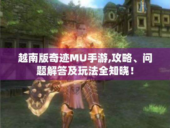 越南版奇迹MU手游,攻略、问题解答及玩法全知晓! 越南版奇迹MU手游,攻略、问题解答及玩法全知晓!