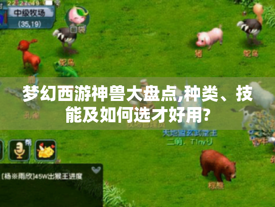 梦幻西游神兽大盘点,种类、技能及如何选才好用? 梦幻西游神兽大盘点,种类、技能及如何选才好用?