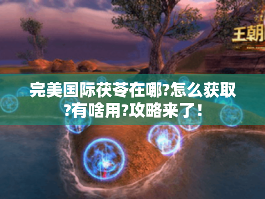 完美国际茯苓在哪?怎么获取?有啥用?攻略来了! 完美国际茯苓在哪?怎么获取?有啥用?攻略来了!