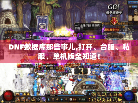DNF数据库那些事儿,打开、台服、私服、单机版全知道! DNF数据库那些事儿,打开、台服、私服、单机版全知道!