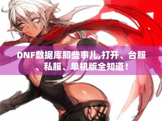 DNF数据库那些事儿,打开、台服、私服、单机版全知道! DNF数据库那些事儿,打开、台服、私服、单机版全知道!