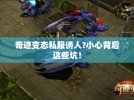 奇迹变态私服诱人?小心背后这些坑! 奇迹变态私服诱人?小心背后这些坑!