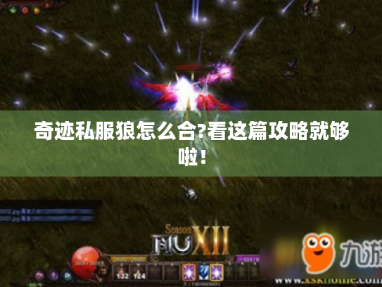 奇迹私服狼怎么合?看这篇攻略就够啦! 奇迹私服狼怎么合?看这篇攻略就够啦!