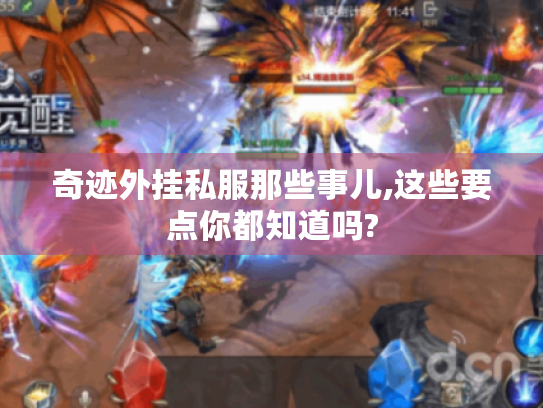 奇迹外挂私服那些事儿,这些要点你都知道吗? 奇迹外挂私服那些事儿,这些要点你都知道吗?