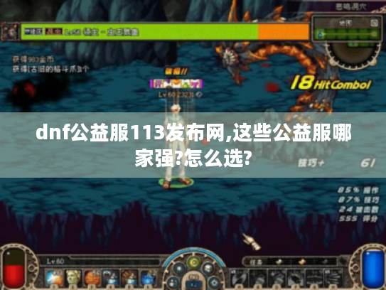 dnf公益服113发布网,这些公益服哪家强?怎么选? dnf公益服113发布网,这些公益服哪家强?怎么选?