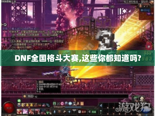 DNF全国格斗大赛,这些你都知道吗? DNF全国格斗大赛,这些你都知道吗?