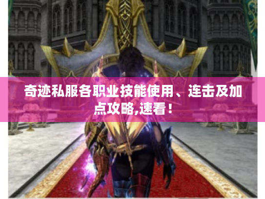 奇迹私服各职业技能使用、连击及加点攻略,速看! 奇迹私服各职业技能使用、连击及加点攻略,速看!