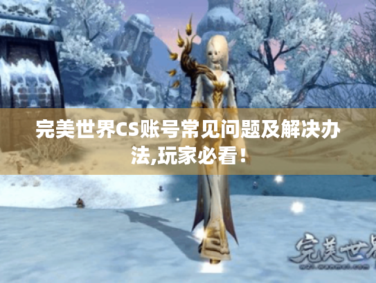 完美世界CS账号常见问题及解决办法,玩家必看！
