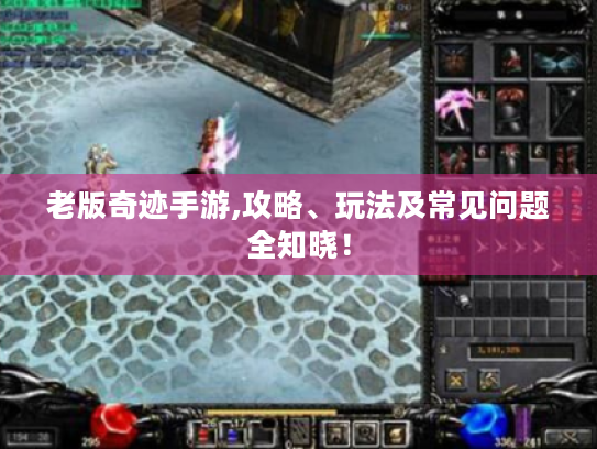 老版奇迹手游,攻略、玩法及常见问题全知晓! 老版奇迹手游,攻略、玩法及常见问题全知晓!